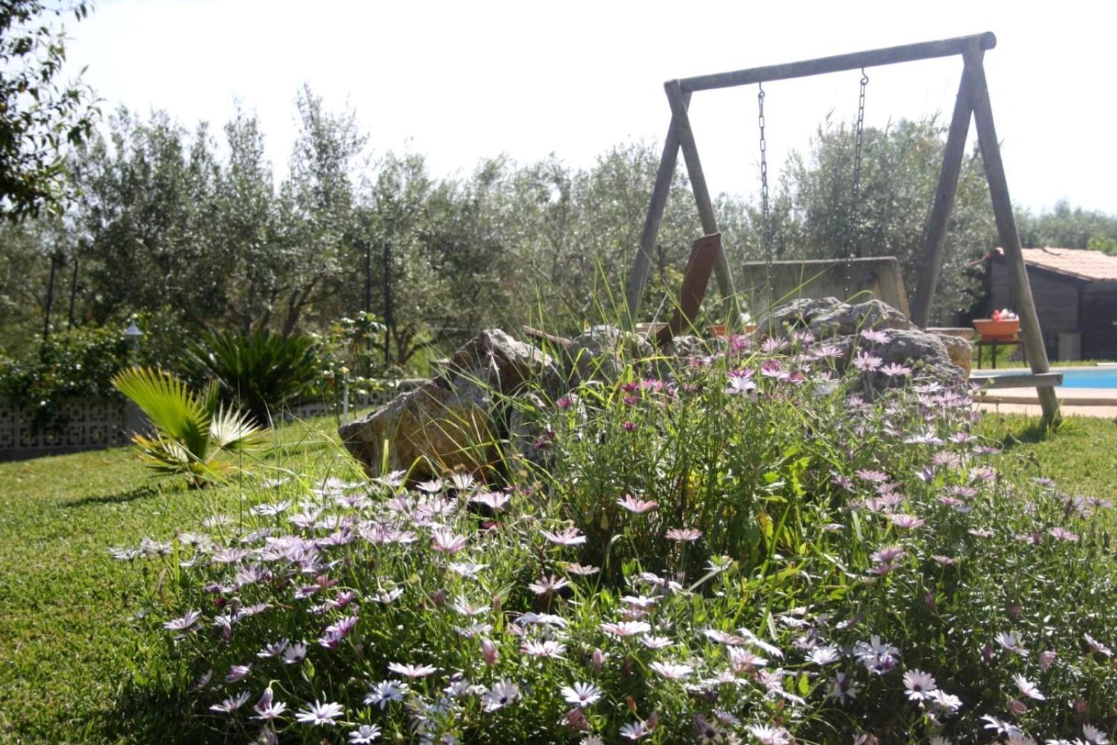Finca Con Piscina Es Blanquer 게스트하우스 외부 사진